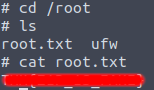 root_flag